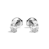 Puces Diamant Oval - La Conciliante